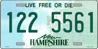 NH license plate 1225561