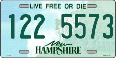 NH license plate 1225573