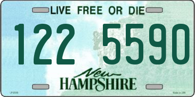 NH license plate 1225590