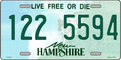 NH license plate 1225594