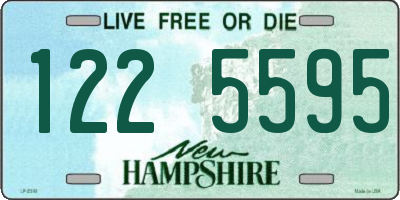 NH license plate 1225595