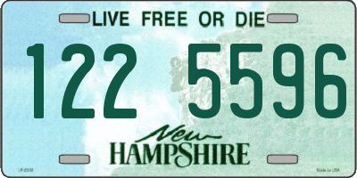NH license plate 1225596