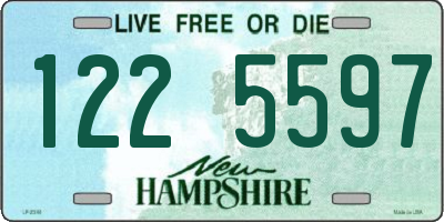 NH license plate 1225597