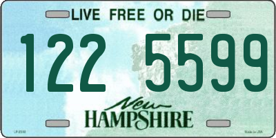 NH license plate 1225599