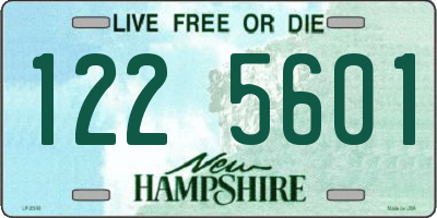 NH license plate 1225601