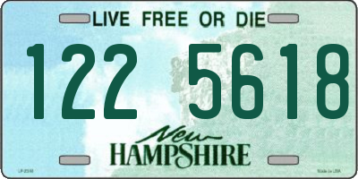 NH license plate 1225618