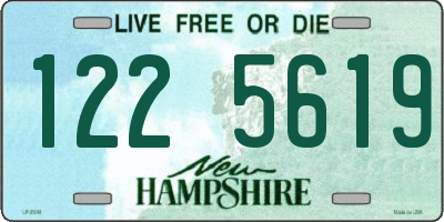 NH license plate 1225619