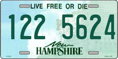NH license plate 1225624