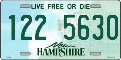 NH license plate 1225630