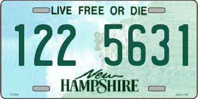 NH license plate 1225631
