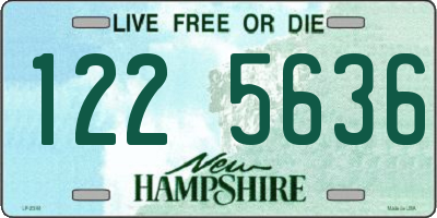 NH license plate 1225636