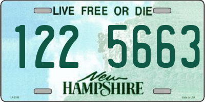 NH license plate 1225663