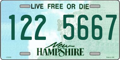 NH license plate 1225667