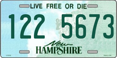 NH license plate 1225673