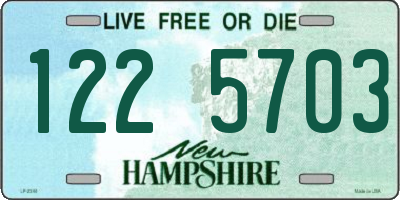 NH license plate 1225703