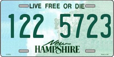 NH license plate 1225723
