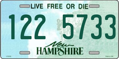 NH license plate 1225733