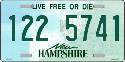 NH license plate 1225741