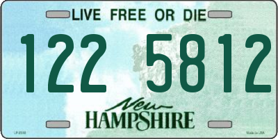 NH license plate 1225812