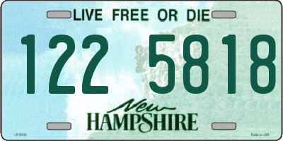 NH license plate 1225818