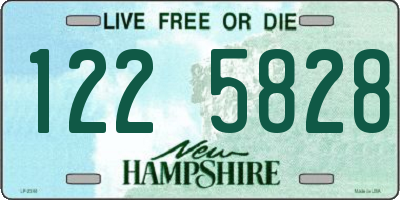 NH license plate 1225828