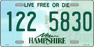 NH license plate 1225830
