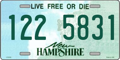 NH license plate 1225831