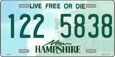 NH license plate 1225838