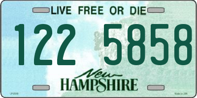 NH license plate 1225858