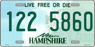NH license plate 1225860