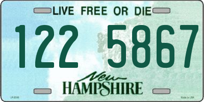 NH license plate 1225867