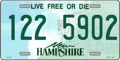 NH license plate 1225902