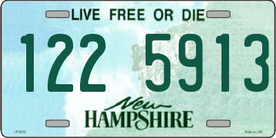 NH license plate 1225913