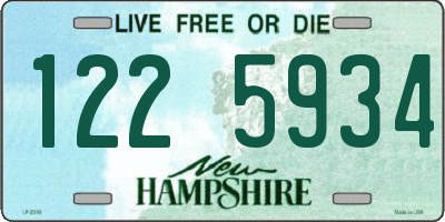 NH license plate 1225934