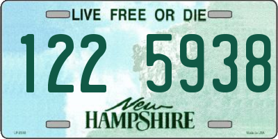NH license plate 1225938