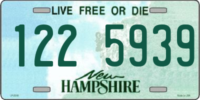 NH license plate 1225939
