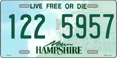 NH license plate 1225957