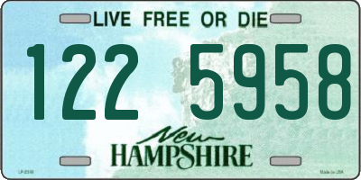 NH license plate 1225958
