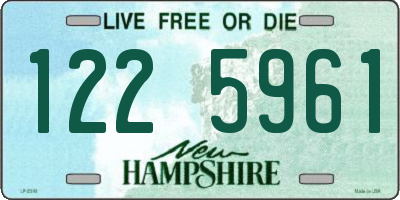 NH license plate 1225961
