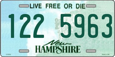 NH license plate 1225963