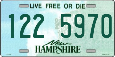 NH license plate 1225970