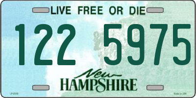 NH license plate 1225975
