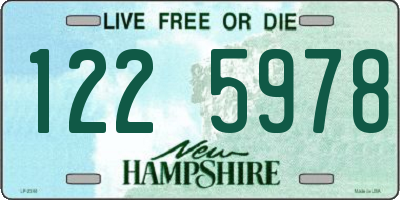 NH license plate 1225978