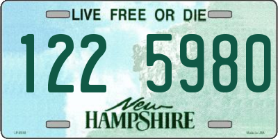 NH license plate 1225980