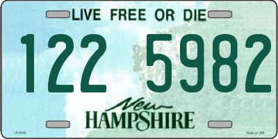 NH license plate 1225982