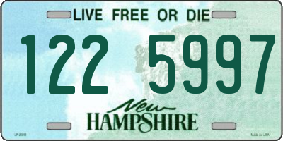NH license plate 1225997