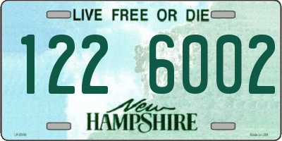 NH license plate 1226002