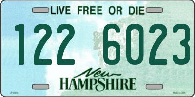 NH license plate 1226023