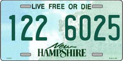NH license plate 1226025