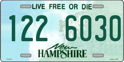 NH license plate 1226030